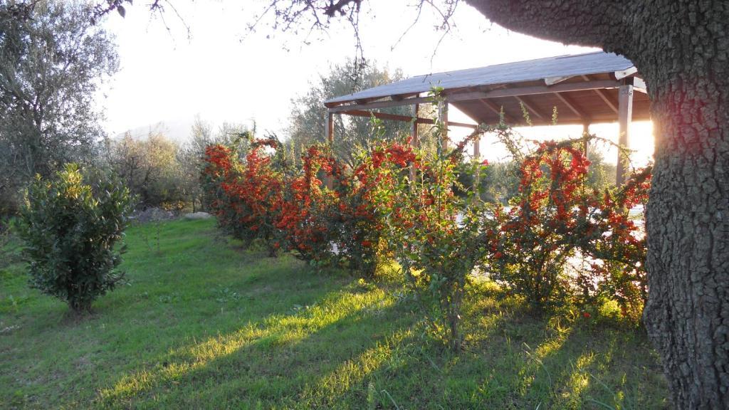 Maria Caderina Green Village Posada  Bagian luar foto